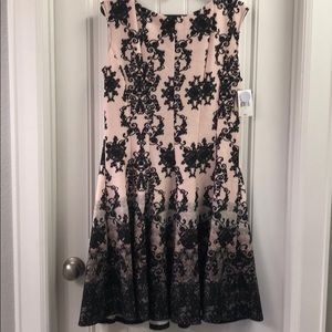 Blush and Black Dress